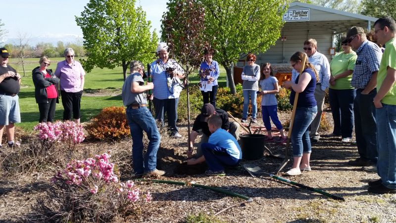 Arbor Day Tree Planting