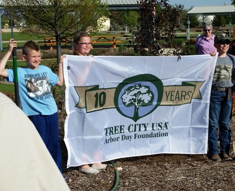 Arbor Day Flag